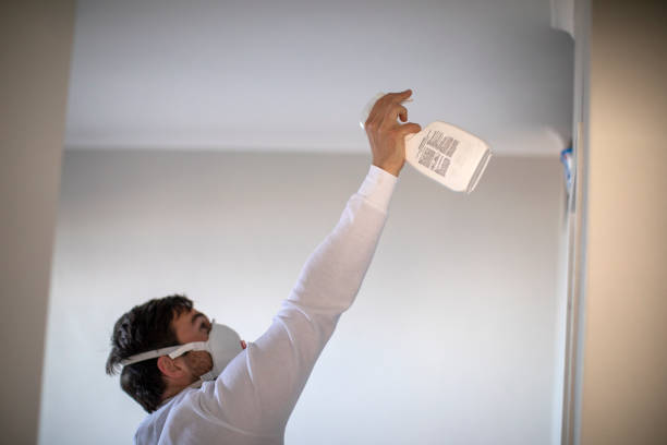 Best Residential Mold Removal  in Quincy, MA