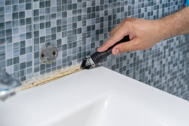 Best Affordable Mold Removal  in Quincy, MA